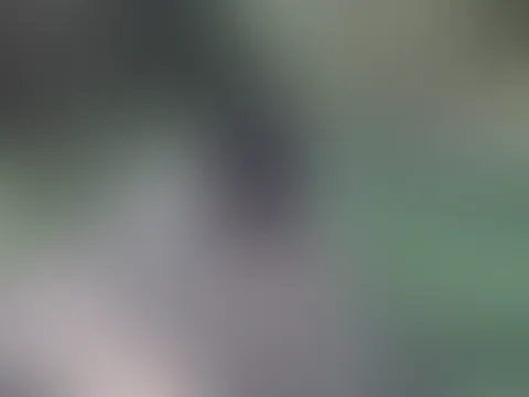 Kleiner Nachtrag vom waldshooting 😇