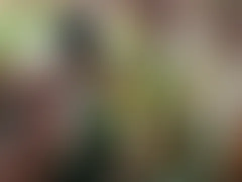 Sweet memories ☀️ Come and take a tropical shower with me 🚿 💚 P.S. thihihi … wie mein Kumpel am Ende durch die Tür gespannert hat!🤣 Wer von euch hätte es denn auch so gemacht, wenn er könnte, und k