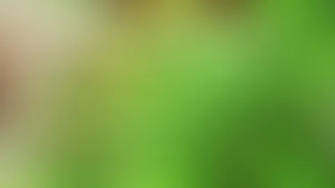 Ich kann auch süß
