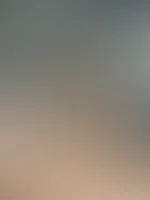 đ