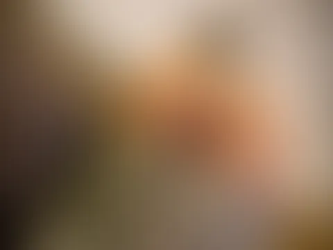 Ich warte auf Befehle đđ