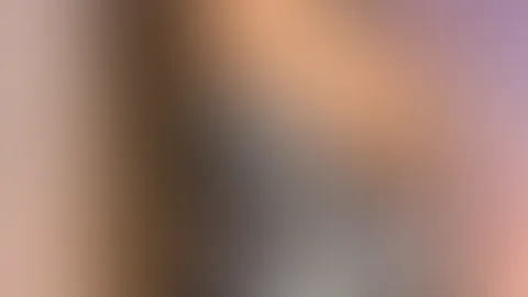 Hallo👋