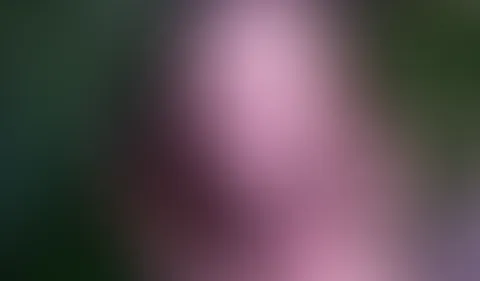 Hey du👉 , ich habe in meinen Videosammlungen ein bisschen gestöbert und habe für Dich eine kleine geile Zusammenfassung der Spritzer 2022 gemacht. Ich musste feststellen, dass ich echt gut rumgekom