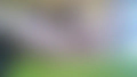 Requested video