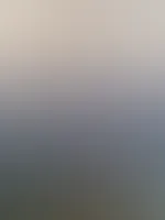 Wie schön sie ausläuft 😍💦🫦🥵