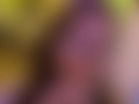 Ich wünsche dir ein frohes neues Jahr 🥳😊