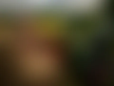 Exklusive Einblicke ins Kalendershooting - Heuernte mit Viviens Landleben
