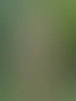 Car slut wants a proper cock😈