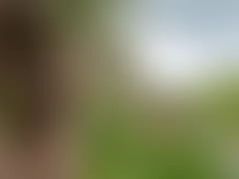 Schlammshooting
