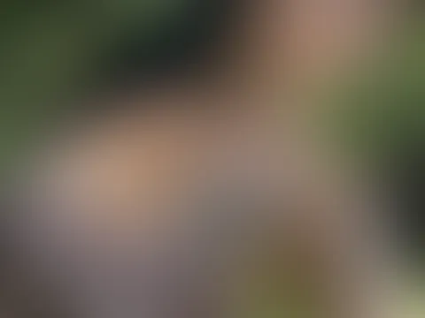 Einen Arschgeilen Mittwoch wünsche ich dir 😜🔥