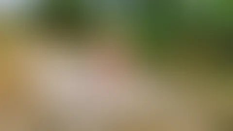 Heißer Wochenendstart am Feldweg... 🌲🔥
