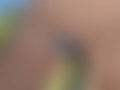 Muschie und Fahrradsattel 🥵