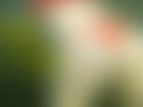 Erste Unterwasser Video schau mir mit tollen Einblicken beim Schwimmen zu