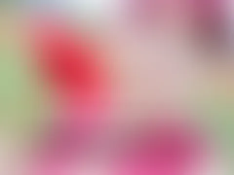 Blumenmädchen im Mohnfeld ZERF**KT