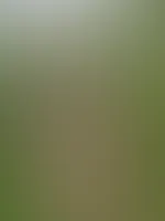 Do you want more outdoor content? đ