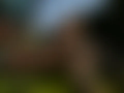 Häckslerfotoshooting mit Viviens Landleben