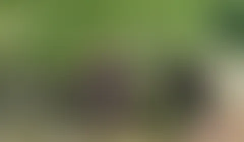 Verboten. Öffentlich. Unwiderstehlich.