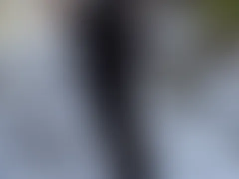 đ