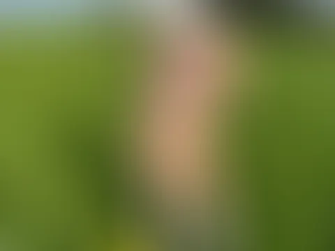 Im transparenten Dessous und weissen Nylons stehe ich vor dir in der Natur. Wo schaust du zuerst hin?