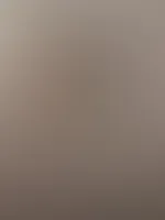 Morgen ihr Bienen đ