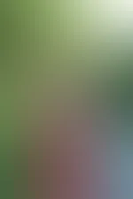 Wie viel Fantasie hältst du wirklich aus?🥵