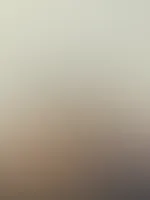 đ