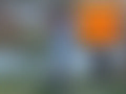 GRENZWERTIG! Auf verbotener Karnevalsparty abgeschleppt!
