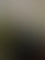 bis Sonntag 💥😈 Code: Vanilla50 💥 für Feed und Inhalte mehrfach verwendbar 🥰🎁 sei schnell und erhalte noch eine exlusive Überraschung 🌹💯😈