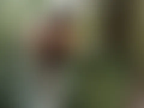 🌱🌿 - #2