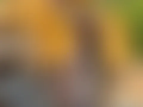 Meinst du ich wurde erwischt vom Chef  ? 😉