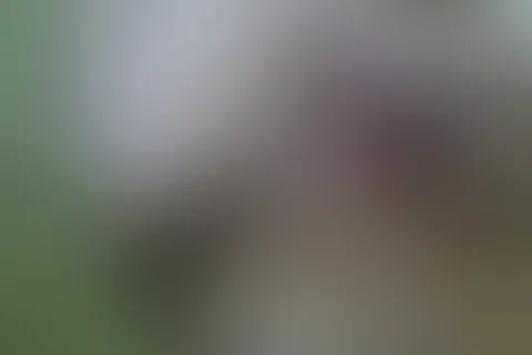 ich berühre so gerne meine M****i und steck auch mal was rein - würdest du mich auch gerne berühren? und wo reinstecken? <3