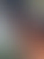 Einen wunderschönen guten Morgen ☀️