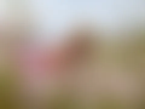 Tatoue Jenny im weissen Blütenmeer