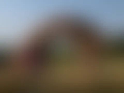 Warum liegt hier eigentlich Stroh??? 18++