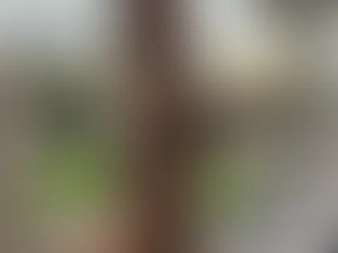 Frohe Ostern Hase 🐰 🥚 🌷💐… darf ich mich um deine Eier kümmern?? Dann komm zu mir, ich warte auf Dich 😉🫵🏼