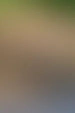Die Woche beginnt mit klaren Linien: Leder, Kurven, Haltung!🔥
