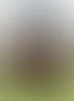 Fast zu viel fürs Free-Pic… aber nur fast 👀🍑” Klick dich in meinen Feed, wenn du wissen willst, wie’s weitergeht… 🔥