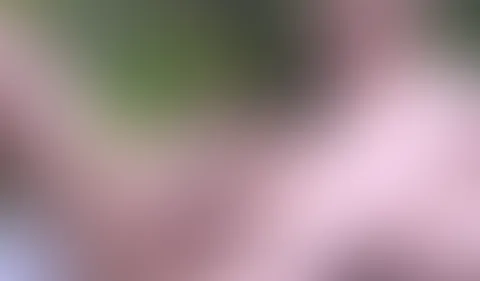 Eisdildos und Luftmatratze