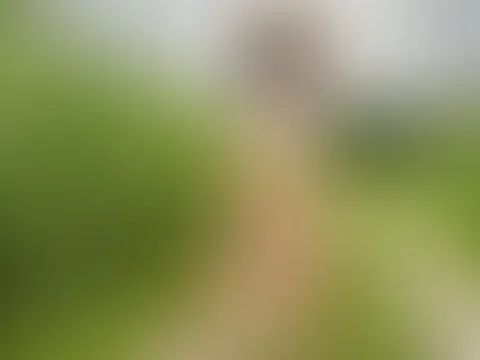 Nur im transparenten hellblauen Dessous stehe ich auf dem Feldweg đđ„