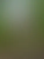 Aus dem neuen Privaten Inhalt