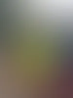 Oh nein ich hab eine Panne🥺Hilfst du mir?💖