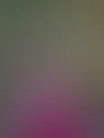 Ich bin die Woche über ein wenig draußen unterwegs und noch bin ich offen für Wünsche ❤️🔥