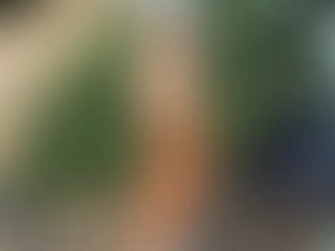 Auf ging es heute wieder