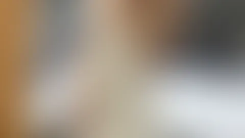 ☀️☀️☀️