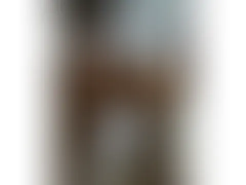 Solo im Bikiniđ€€đ„