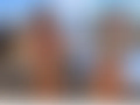 Traumhafter S*x am öffentlichen Strand!