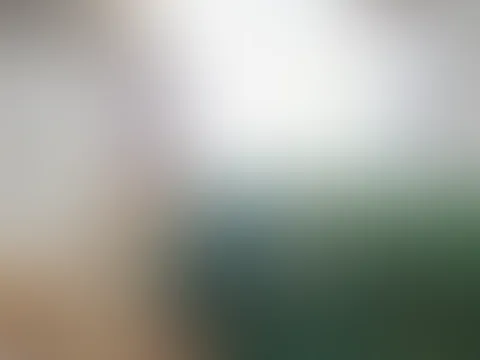 hey  hey dear👋🏻 I like this video, and you?