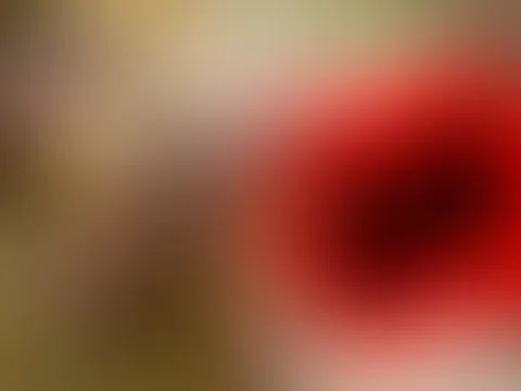 Frühlingsgefühle 🔥🔥🔥 TooHot for YOU!