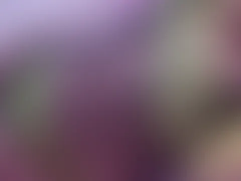 👅👅👅👅
