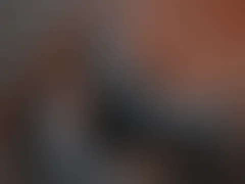 Hausputz 🧹